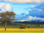 beautiful landscape in australia