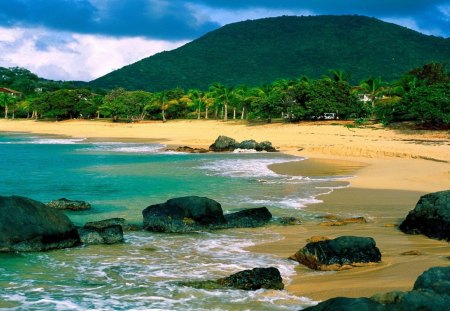 beautiful polynesian beach - mountains, rocks, beach, palms, green