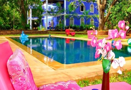 Place for relax - sun bed, relax, swimming pool, summer, pink, reflection, flowers, holiday, exotic, hotel, place, vase, water, cuba, mirrored, rest, tree, pool, orchids, destination, america