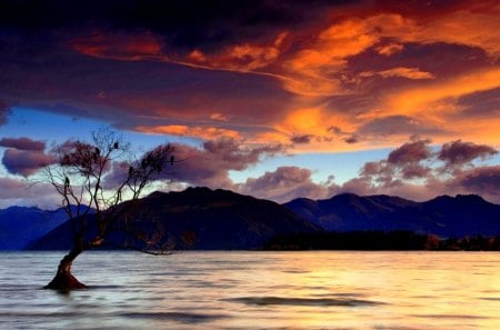 FLAMING CLOUDS - clouds, lonely, lake, mountains, tree, sky