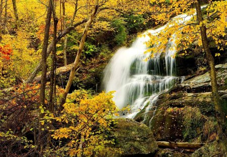 Mountain waterfall - falling, summer, forest, rocks, beautiful, stairs, nature, steps, autumn, cascades, stream, fall, pretty, water, waterfall, yellow, stones, serenity, peaceful, calmness, water stream, lovely, woods, trees