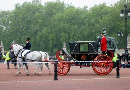 Carriage during London vacation 02 - carriage, trees, photography, wheels, black, white, horses, red, green