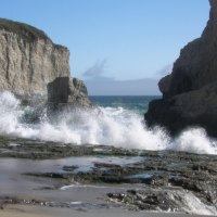 Pacific Coastline