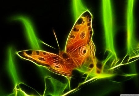 abstract butterfly - butterfly, abstract, beauty, wings