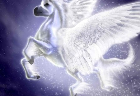 cool pegasus - white, beauty, pegasus, abstract