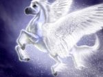 cool pegasus