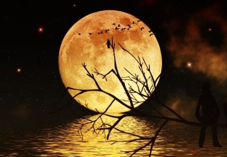 golden night - moon, sky, tree, water