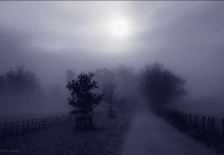 cool grey foggy landscape - fog, trees, road, sun