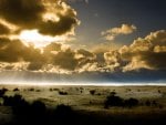 sunrays over a beach