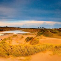 pools in grassy dunes