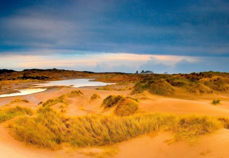 pools in grassy dunes - sunes, pool, clouds, grass