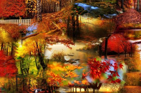 Bright Autumn Collage - rivers, streams, forest, leaves, creeks, fountains, browns, roads, trees, water, change, orange, fence, fall, colorful, autumn, bright