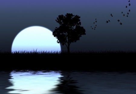 lost in tranquilty - moon, birds, grass, tree