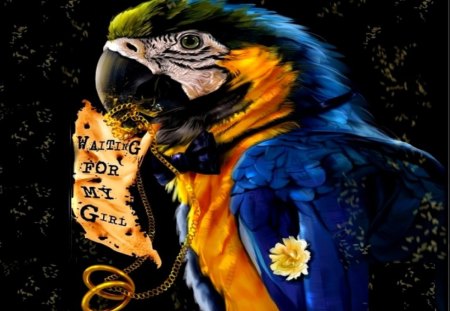 beatiful blue and gold parrot - bird, blue, animals, wings