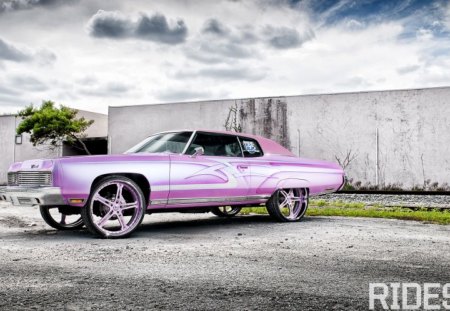 Think-Pink - custom wheels, bowtie, gm, classic