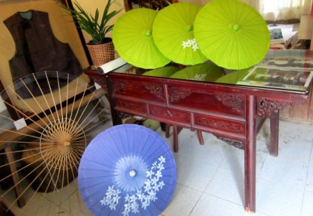 Heritage exhibition - flowers, beautiful, heritage exhibition, paper umbrella