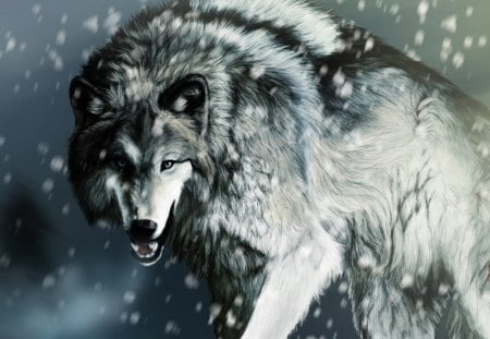 Snow wolf - wolf, animals, snow, dog