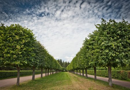 Alley garden - alley, landscape, beautiful, garden, photography, fields, trees, nature, green