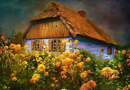 Little Blue Cottage in Poland - house, blue, poland, orange, home, tiny, flowers, little, cottage