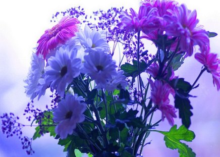 Little gift for Luiza - flowers, purple, blue, green