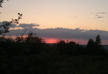 Sunset - forest, sundown, sun, clouds