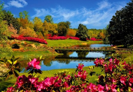 beautiful lake and reflections - lake, flowers, trees