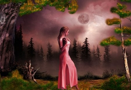 misty night - moon, sky, girl, trees