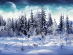 snowy forest