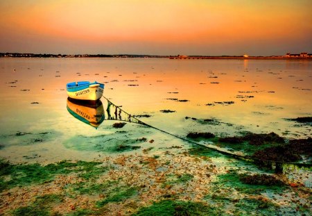 Forgotten boat - summer, horizons, boat, reflection, algae, shore, red, sky, forgotten, sunlight, water, sea, orange, ocean, glow, nature, lights