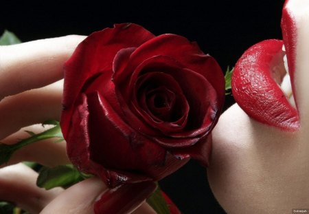 SHADES OF ROUGE - roses, reds, beauty, romance, love, flowers, lips, kisses, valentine, woman