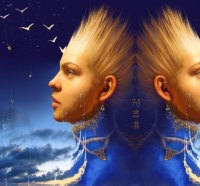 gemini the twins
