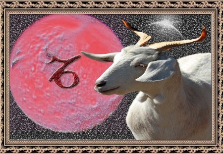 goat with horns - fire, space, fantasy, zodiac