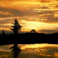 sunset in san isabel national forest colorado