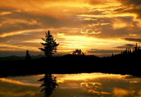 sunset in san isabel national forest colorado - lake, forest, yellow, sunset