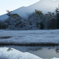 a frosty morning