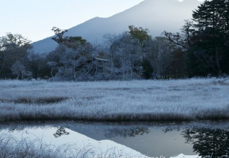 a frosty morning - pond, mountains, frost, trees, grass