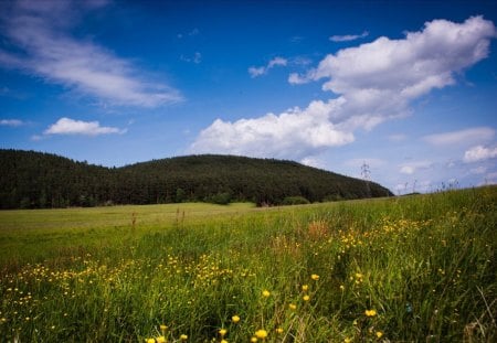 Spiš - spis, slovakia, nature, vydrnik