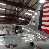 The Bluebonnet Belle