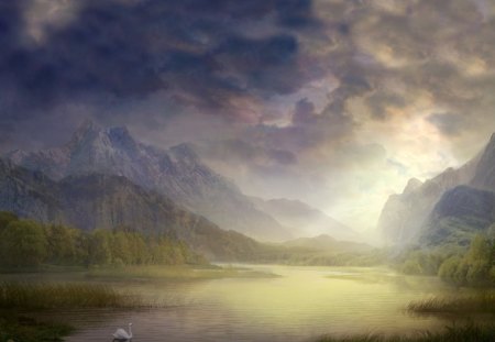 foggy swan lake - swan, mountains, lake, clouds