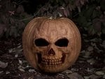 skull pumpkin