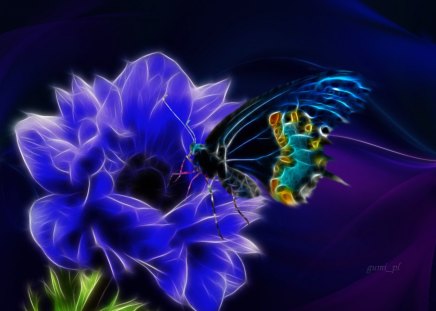 Blue anemone - blue, butterfly, flower, anemone, fractal