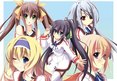 Infinite Stratos - pretty, girls, cute, anime