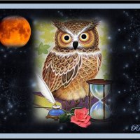 WP FOR ALL MY "NIGHT OWL" FRIENDS ON DN