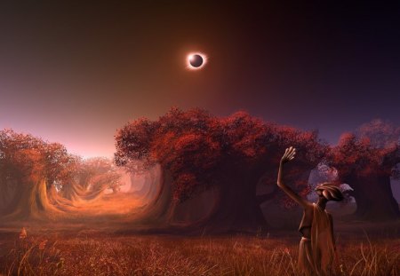 eclipse wallpaper - moon, trees, nature, sky