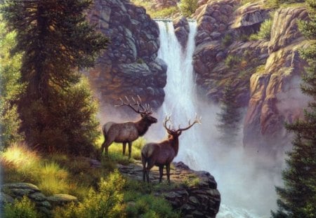 elk in mountains - mountains, trees, waterfall, elk