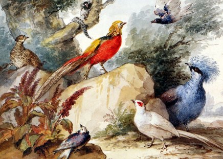 birds in a landscape - colorful, birds, art, painting