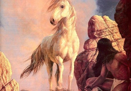 wild horse - indian, horse, clouds, rocks