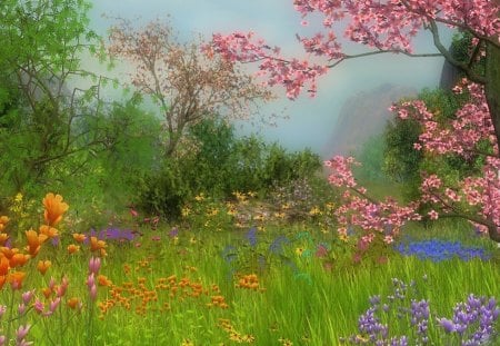 SPRINGTIME IN THE VALLEY - fields, trees, blossoms, seasons, flowers, grass, spring