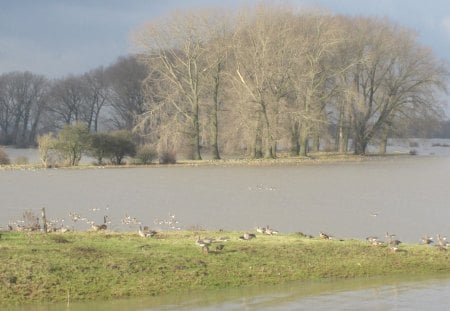 The flooded river