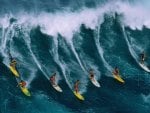 Surfers In Plenty.